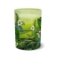Bistrotea T-tuba Ceylon Sencha - ceai verde 150g Bistrotea T-tuba Ceylon Sencha - ceai verde 150g