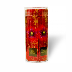 Bistrotea T-tuba Goji Energy 32xTpod/4 g